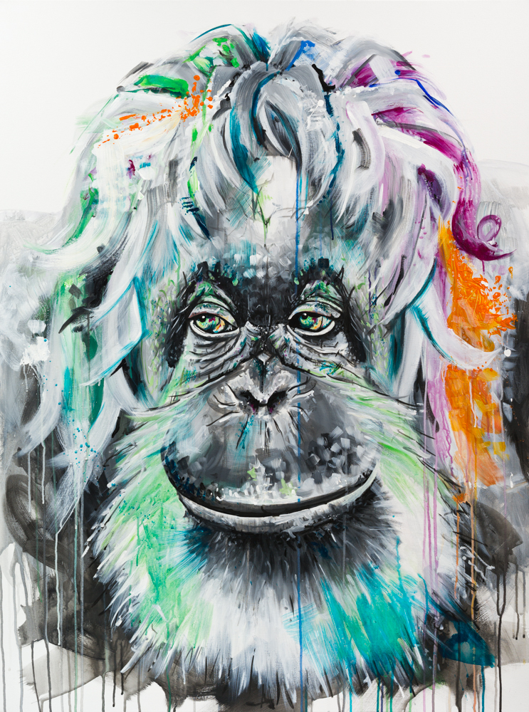 Orangutan