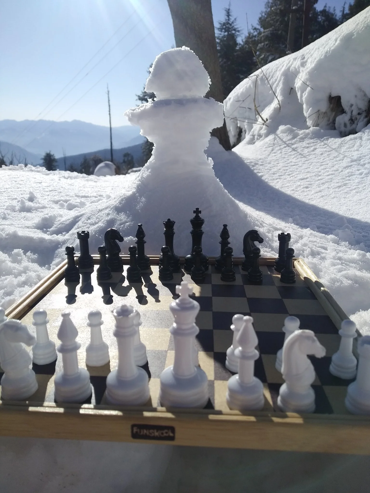 Snow Day Chess Camps