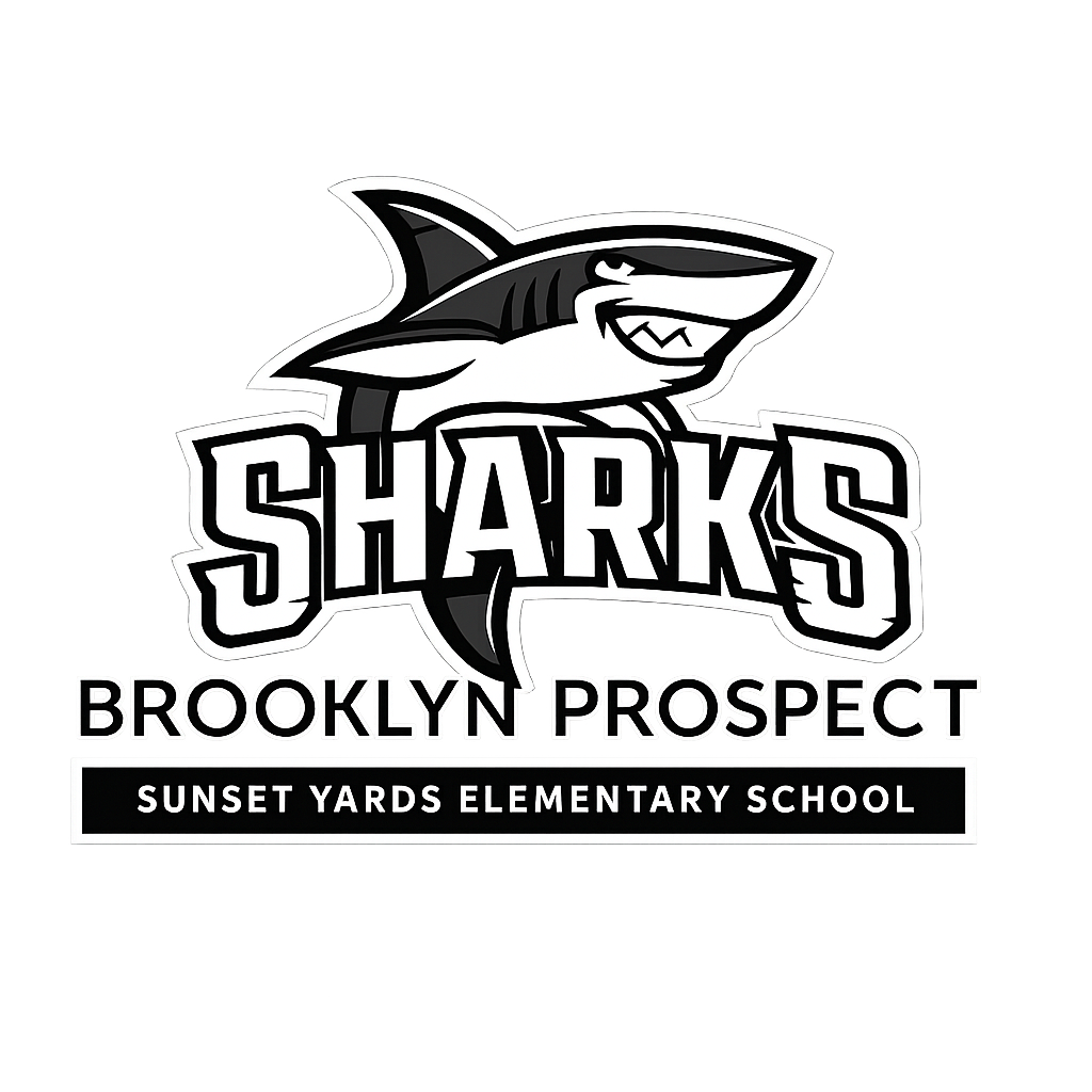 Brooklyn Prospect SY Chess Club & Team