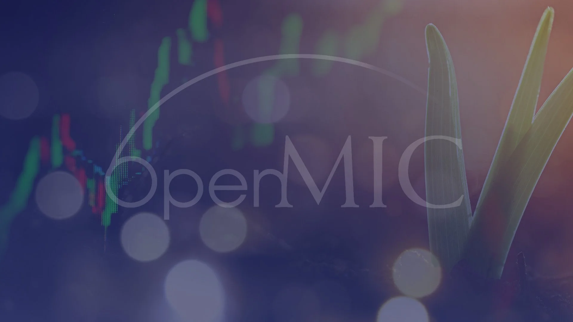 Open MIC Announces Leadership Transition: Audrey Mocle Named Executive Director