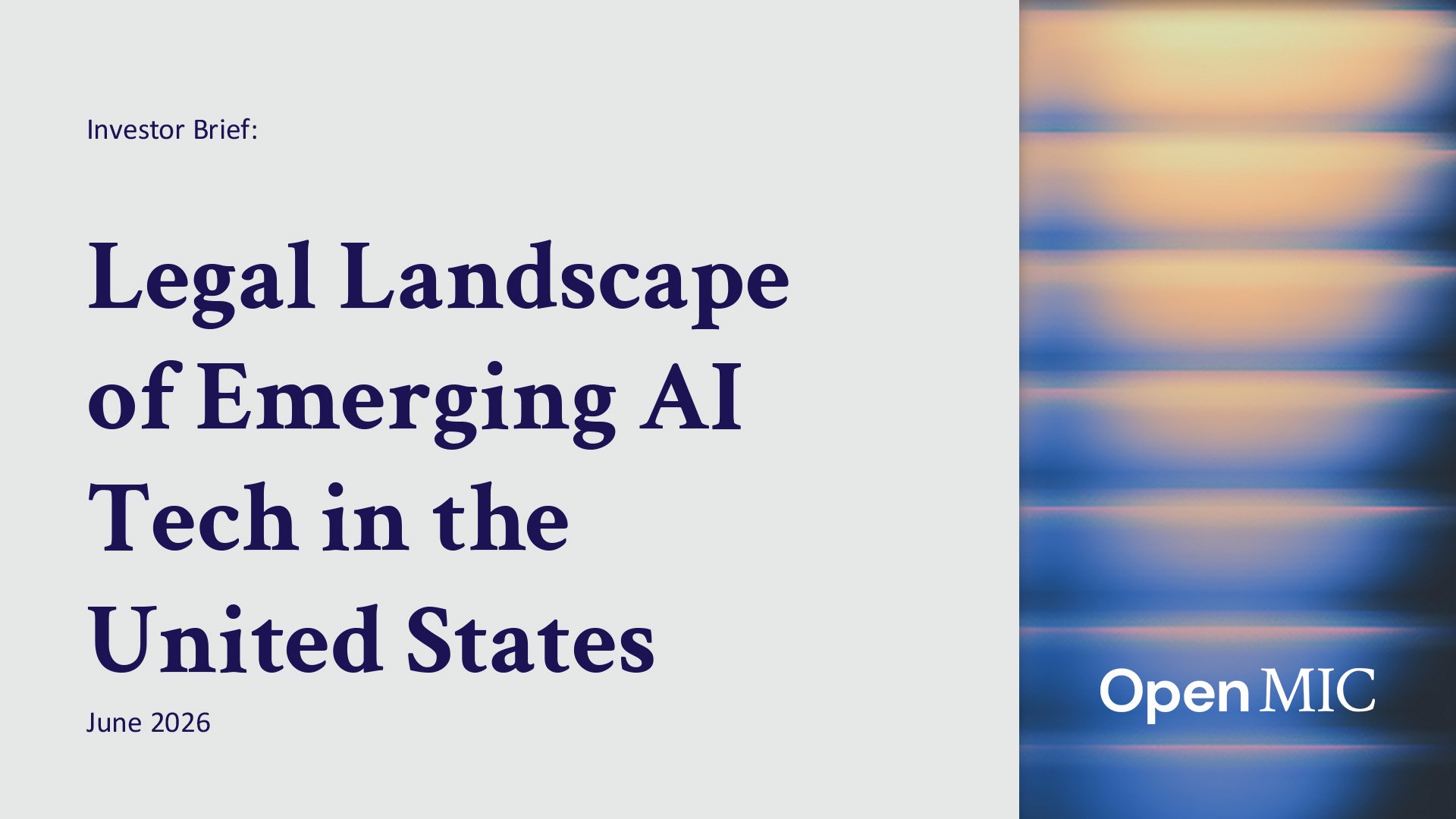 Investor Brief: Legal Landscape of Emerging AI Tech in the United States