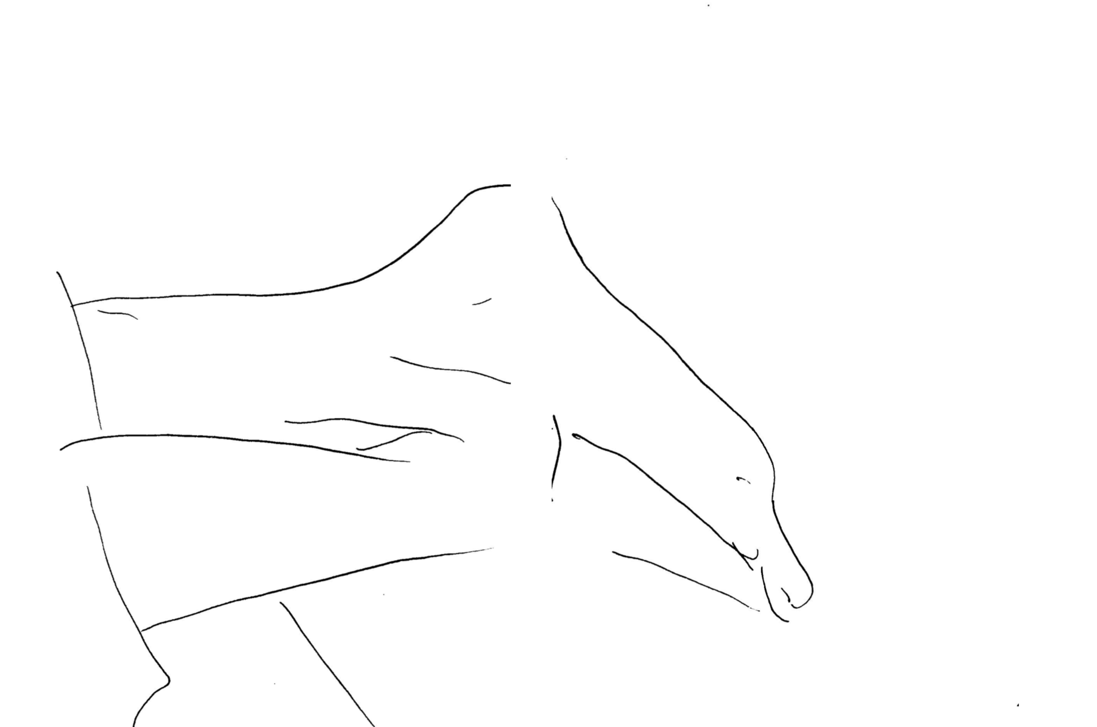 Screen Shot 2019-07-01 at 21.01.06.png