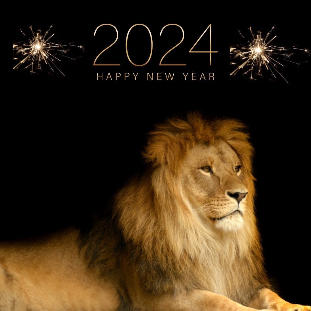 Happy New Year to all our friends, family, and supporters! #alionsheart #savewildlife #lions
