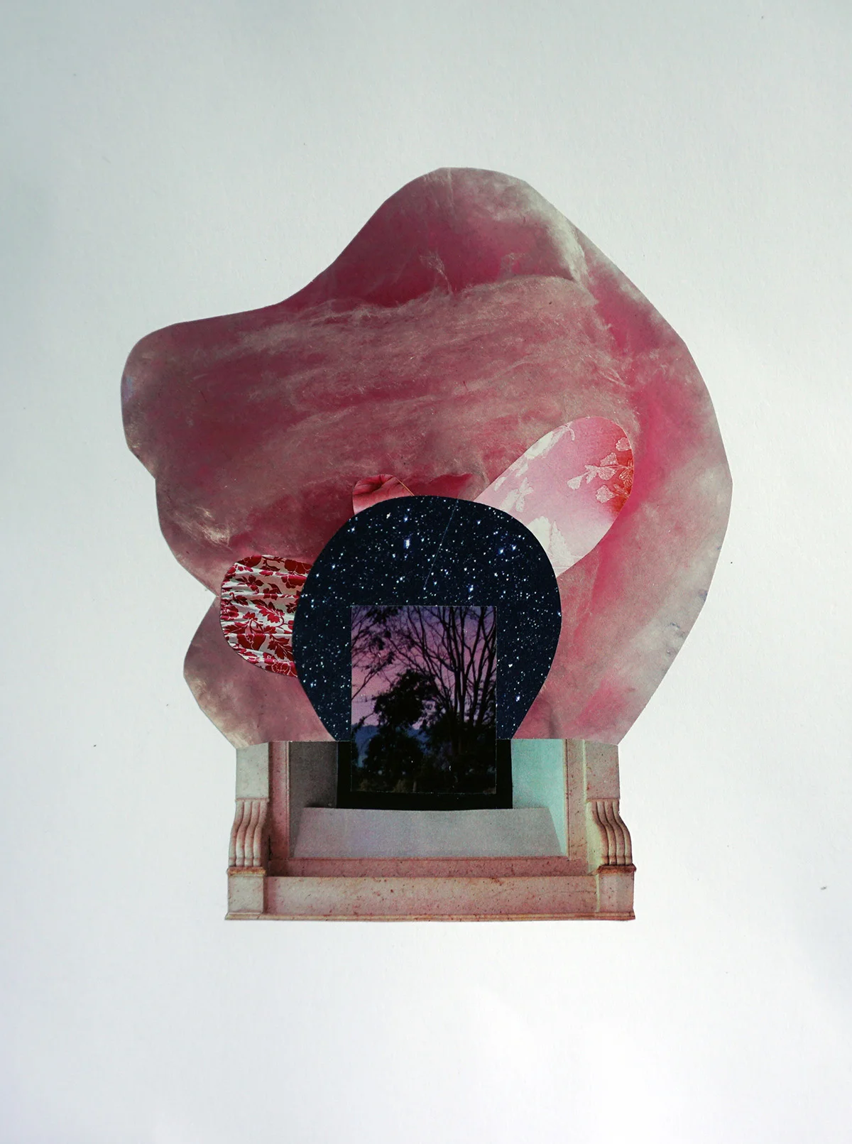 Collage 14