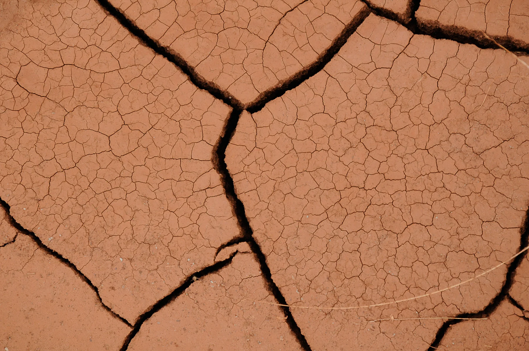 Desert Cracking-18.jpg