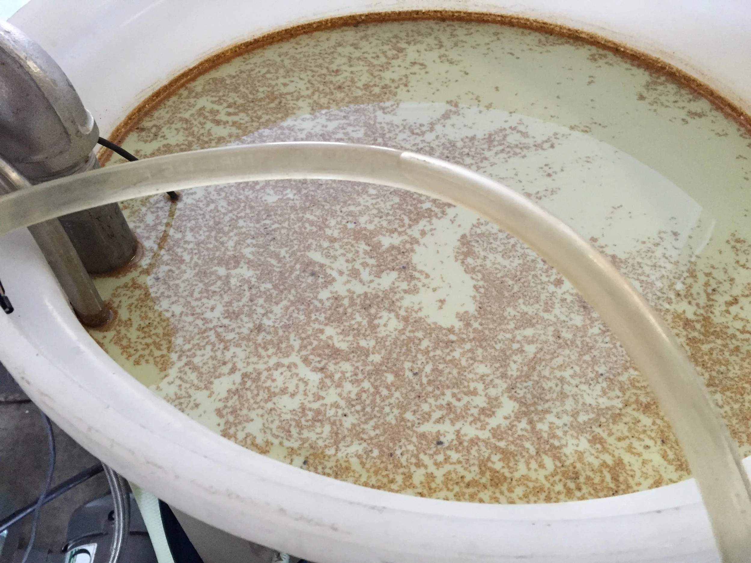 Complex, Very Stable Emulsion