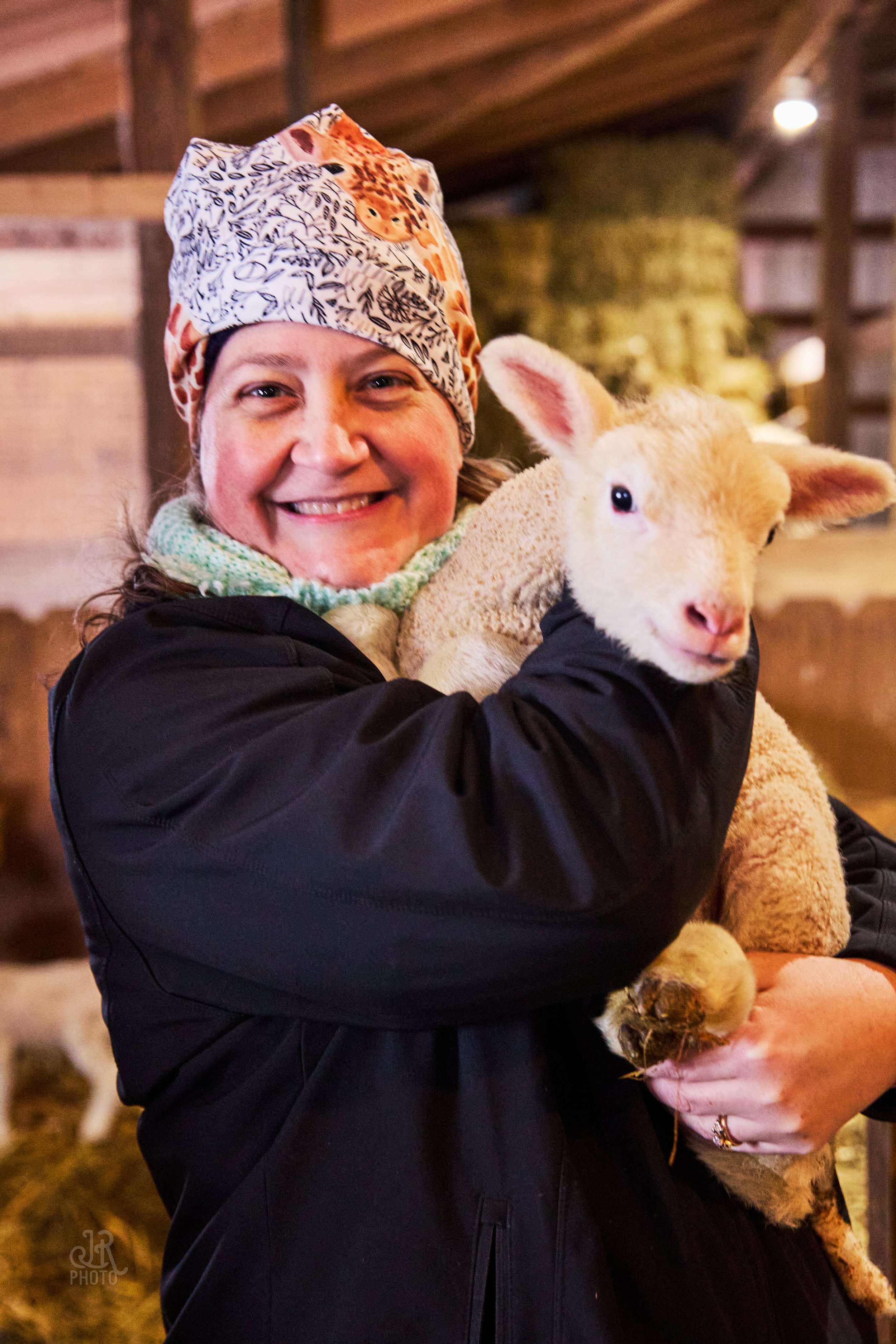 Sheep_048.jpg