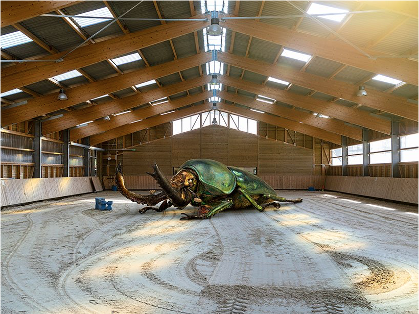 Capture d’écran 2020-09-09 à 12.04.46.png