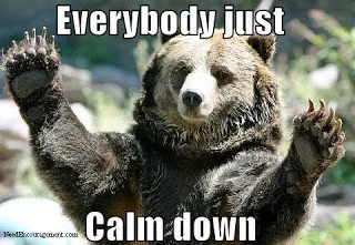 The bear just wants you to CHILL OUT