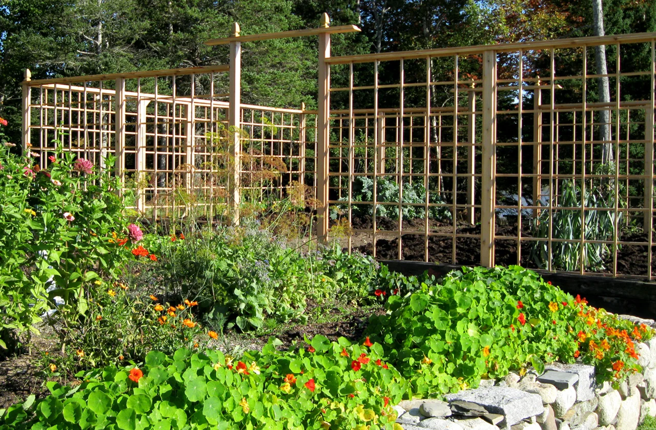 Herb and vegetable garden