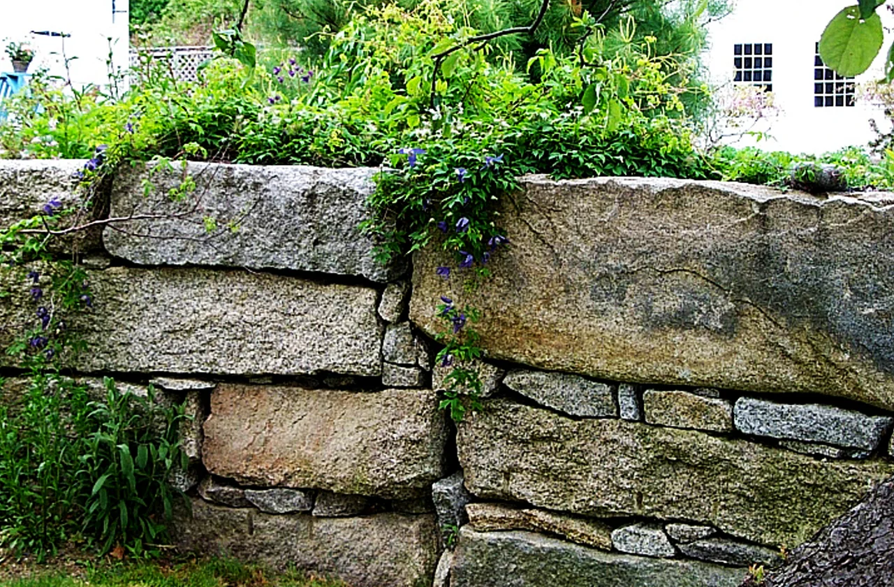 Granite wall with clematis