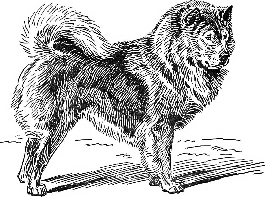 The_standard_cyclopedia_of_modern_agriculture_and_rural_economy,_by_the_most_distinguished_authorities_and_specialists_under_the_editorship_of_Professor_R._Patrick_Wright_(1908)_(14598377619).jpg