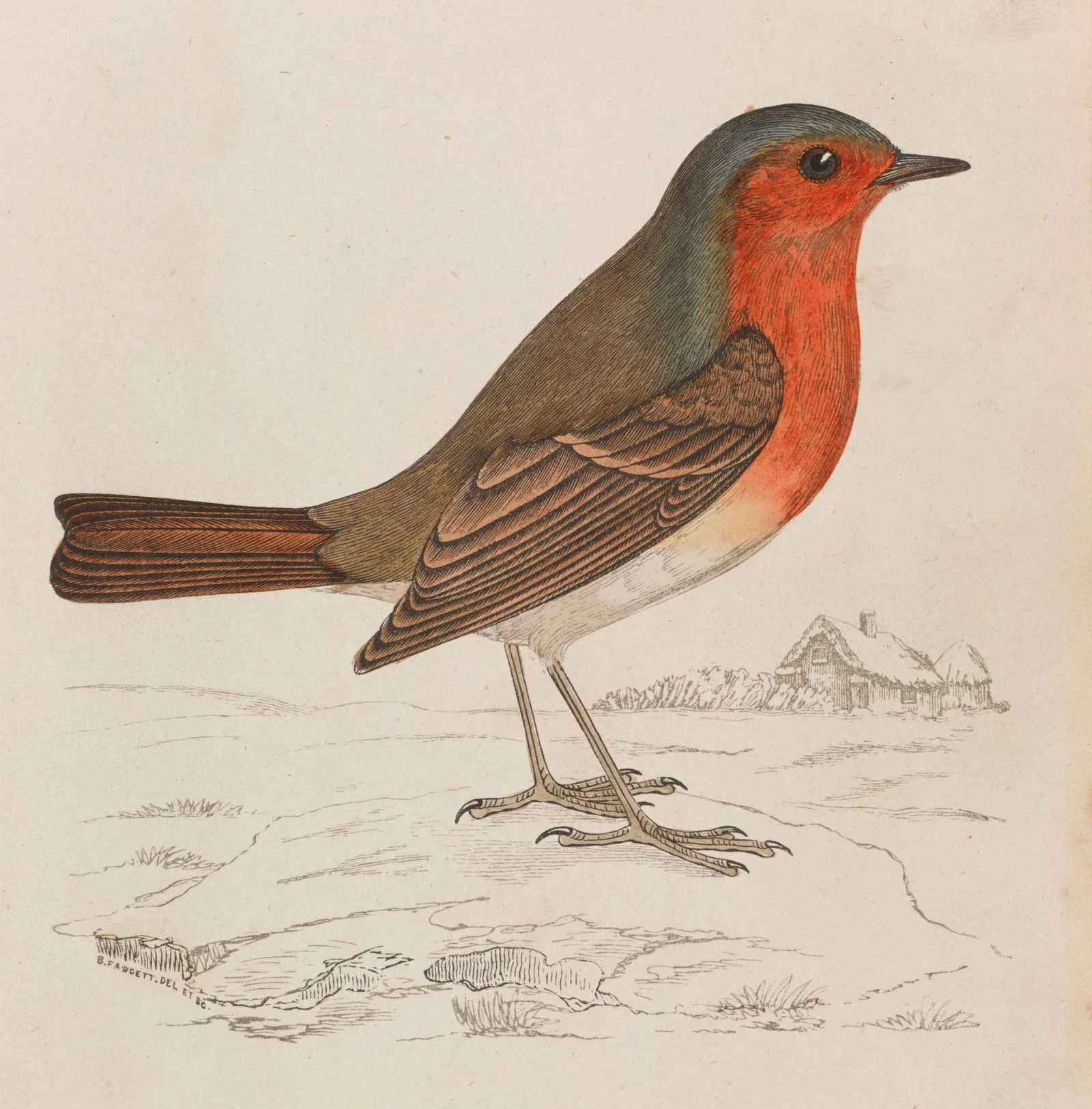 Redbreast.jpg
