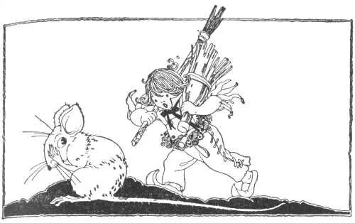 Ep. 846 - How to Tell Corn Fairies If You See 'em - An American Fairytale