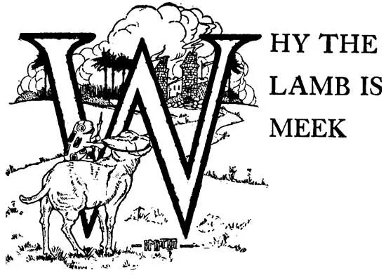 Ep. 859 - Why the Lamb is Meek - A Brazilian Fairytale