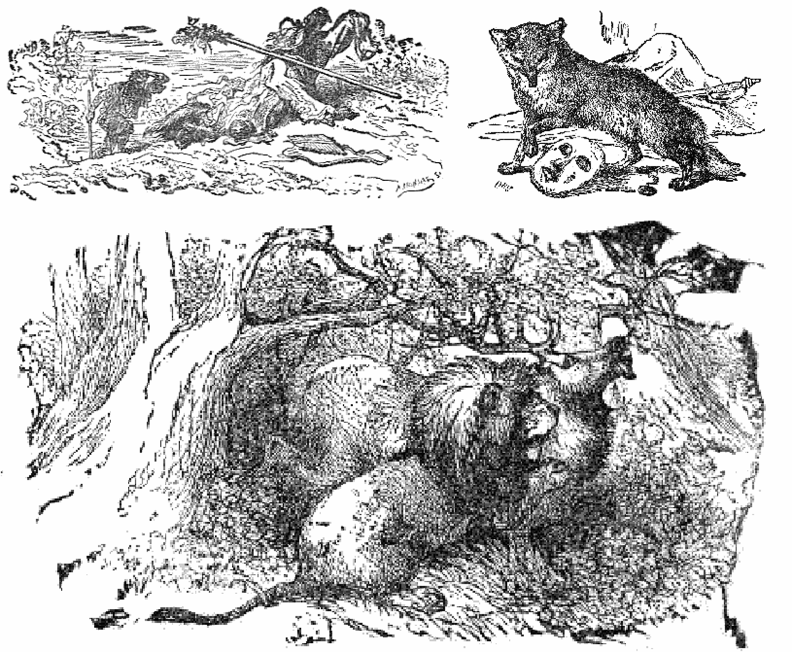 Ep 897 Aesop S Fables Collection 1 Aesop S Fables The Folktale Ep 897 Aesop S Fables Collection 1 Aesop S Fables The Folktale