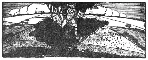 Ep. 936 - Bird-Found - An German Folktale