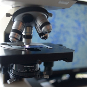 顯微鏡及影像擷取系統