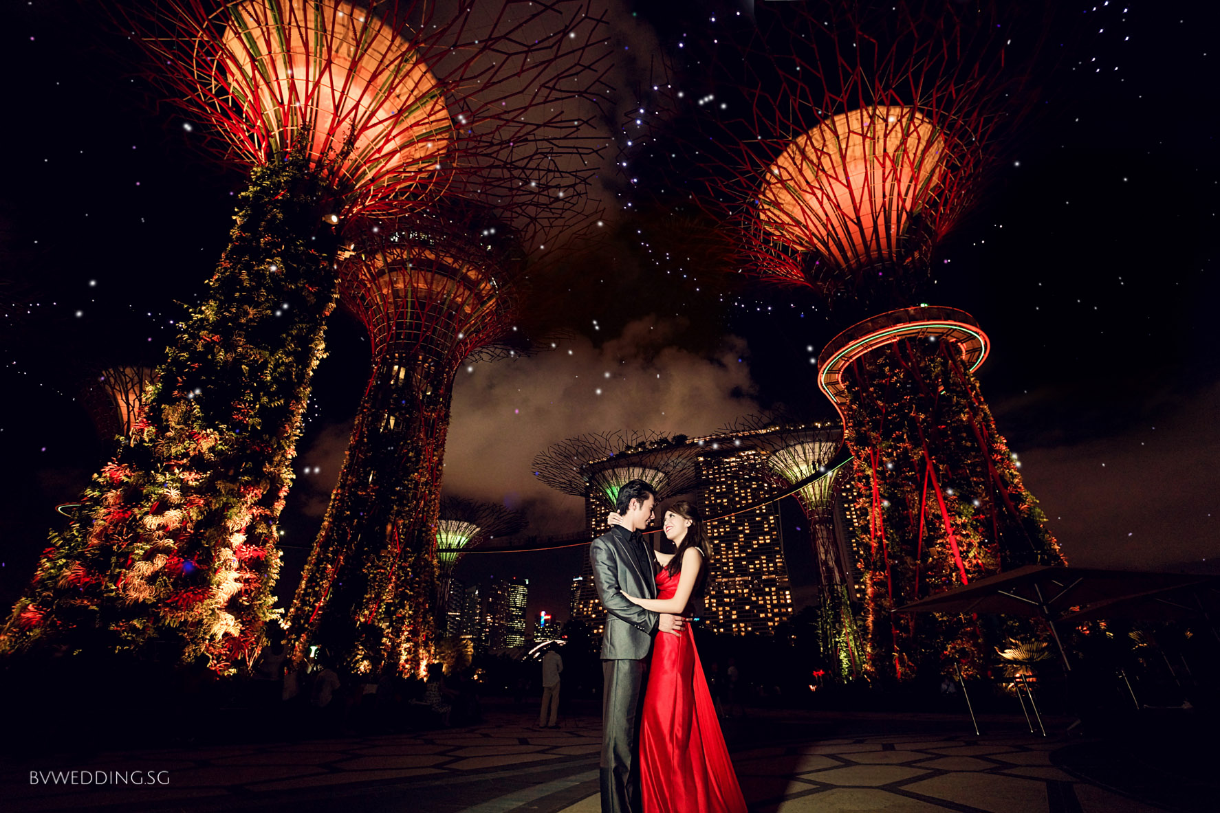 Singapore Wedding Photography garden by the bay