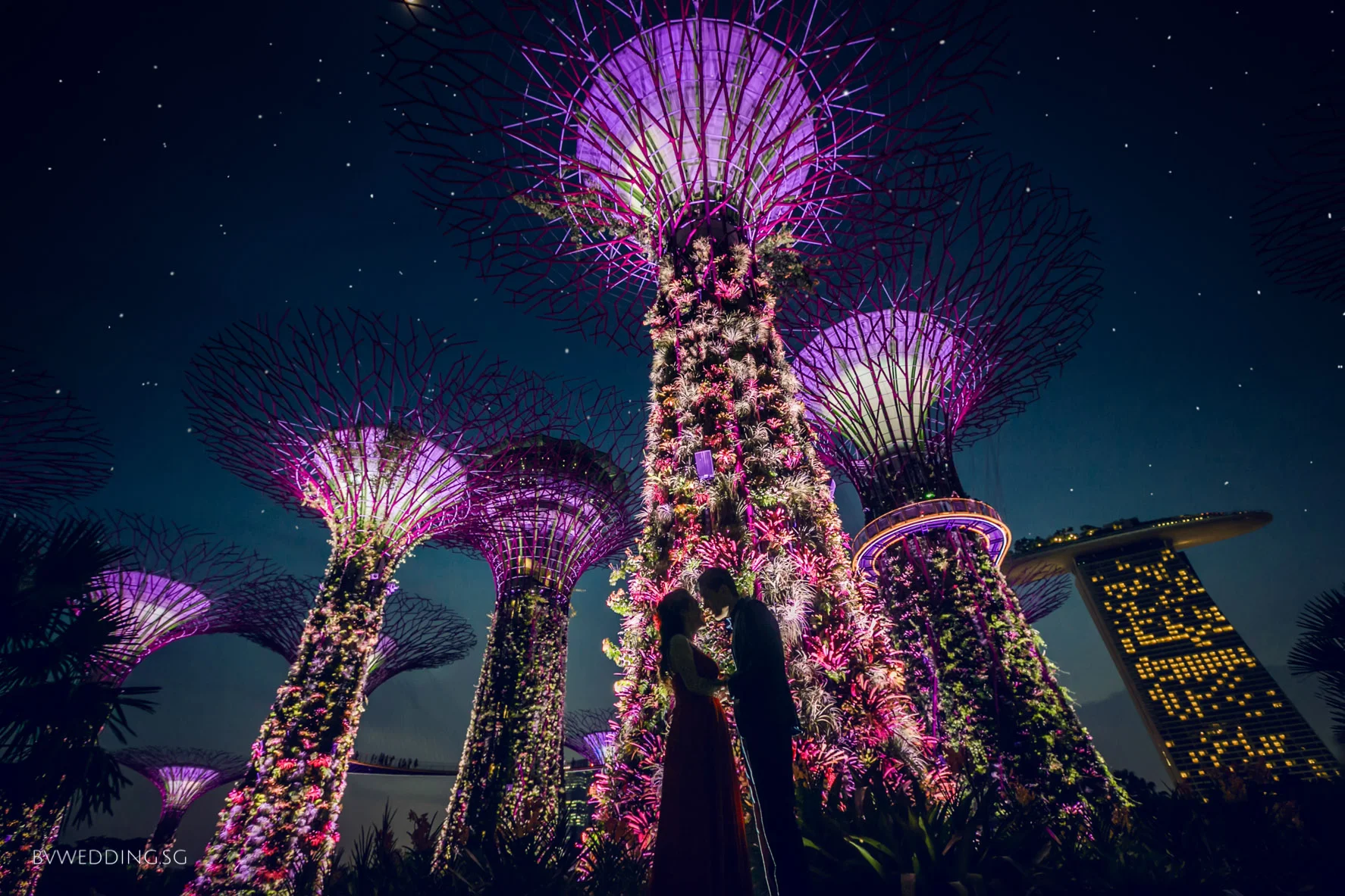 Pre-wedding Photoshoot at Gardens by the Bay