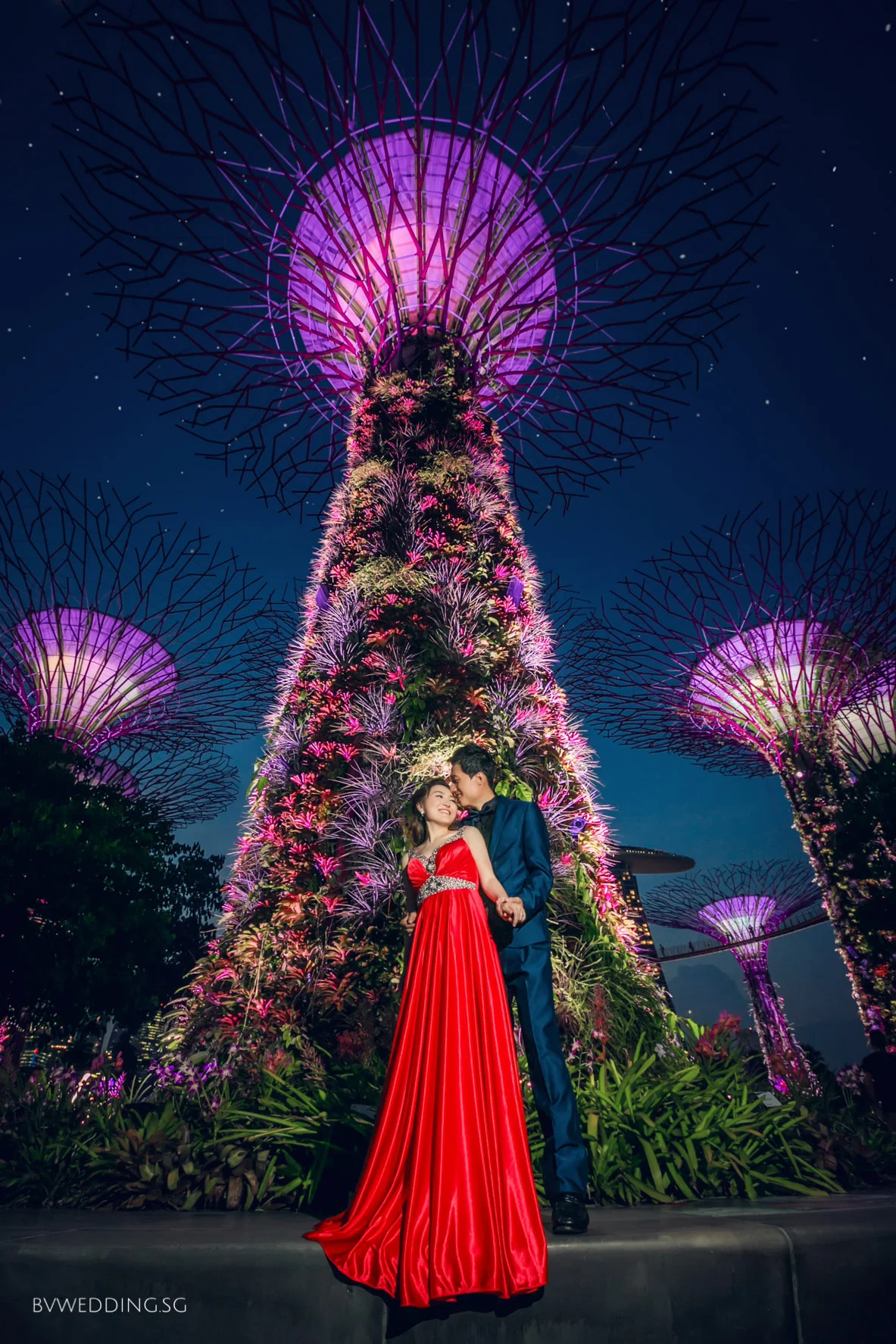 Pre-wedding Photoshoot at Gardens by the Bay
