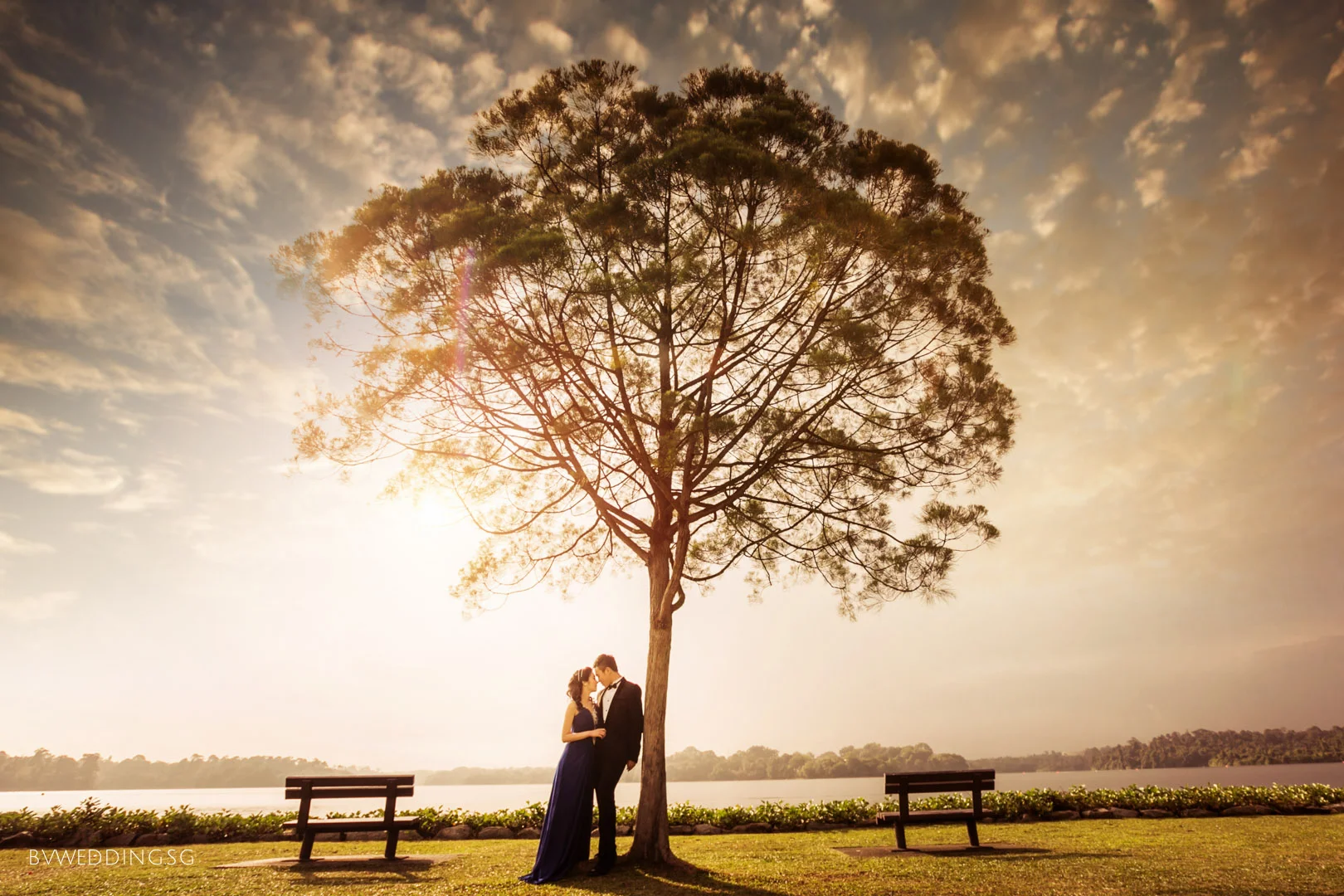 Pre-wedding Photoshoot at Upper Seletar