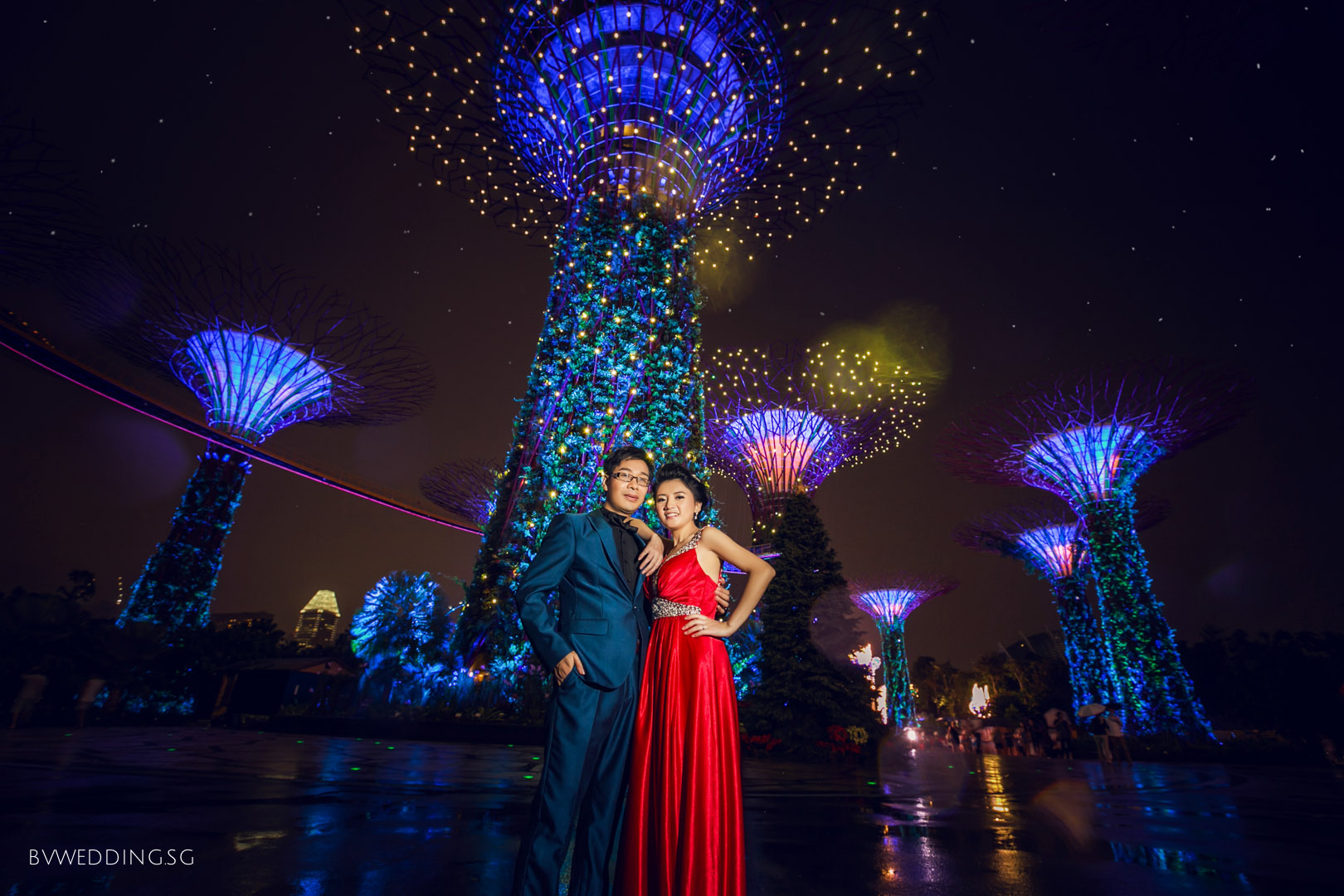 pre-wedding Photoshoot at Gardens By the Bay