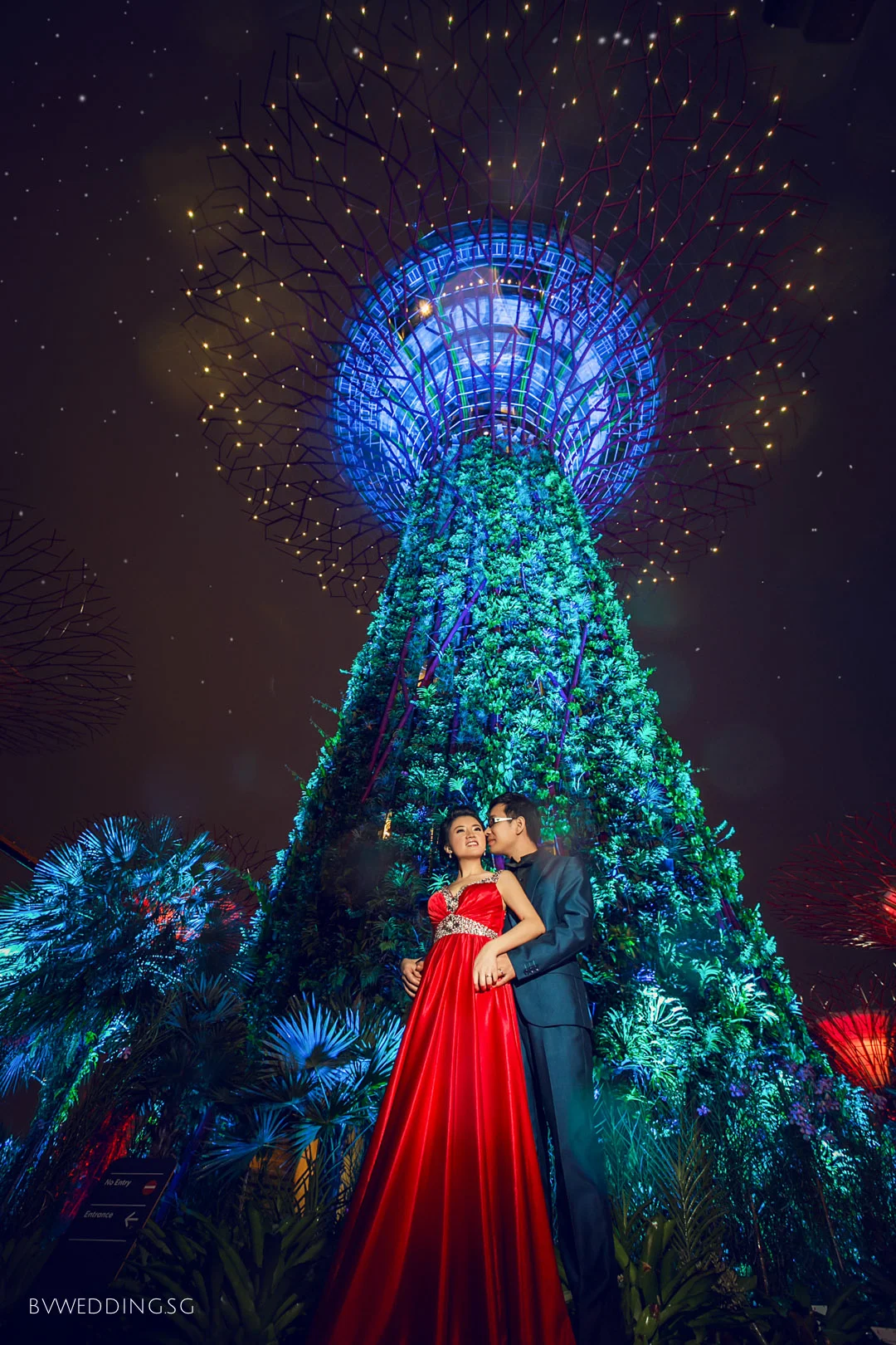 pre-wedding Photoshoot at Gardens By the Bay
