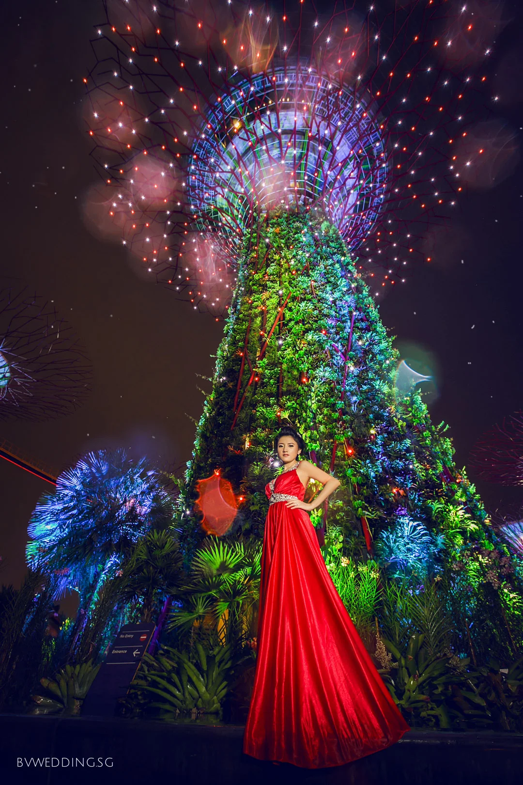pre-wedding Photoshoot at Gardens By the Bay
