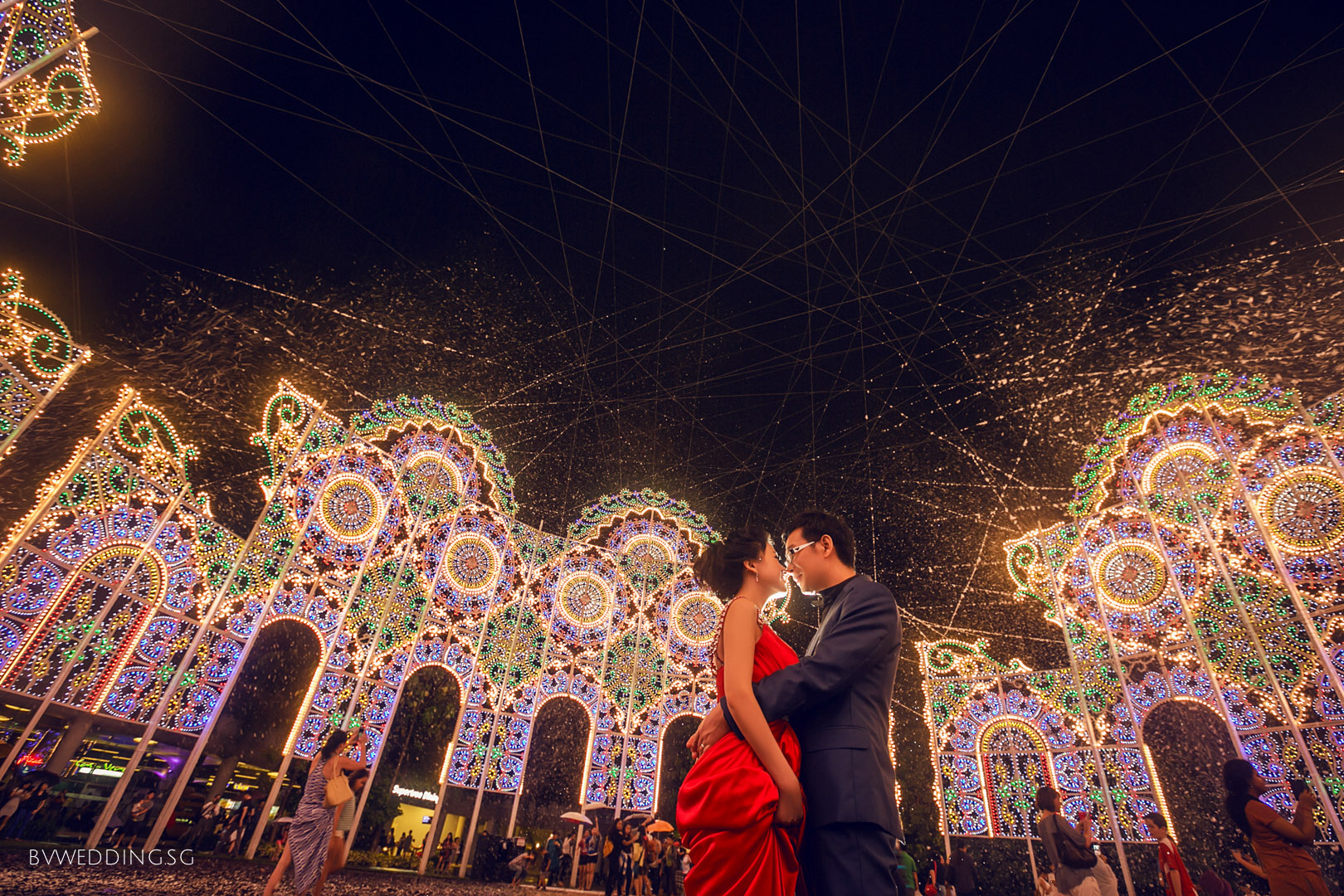 pre-wedding Photoshoot at Gardens By the Bay