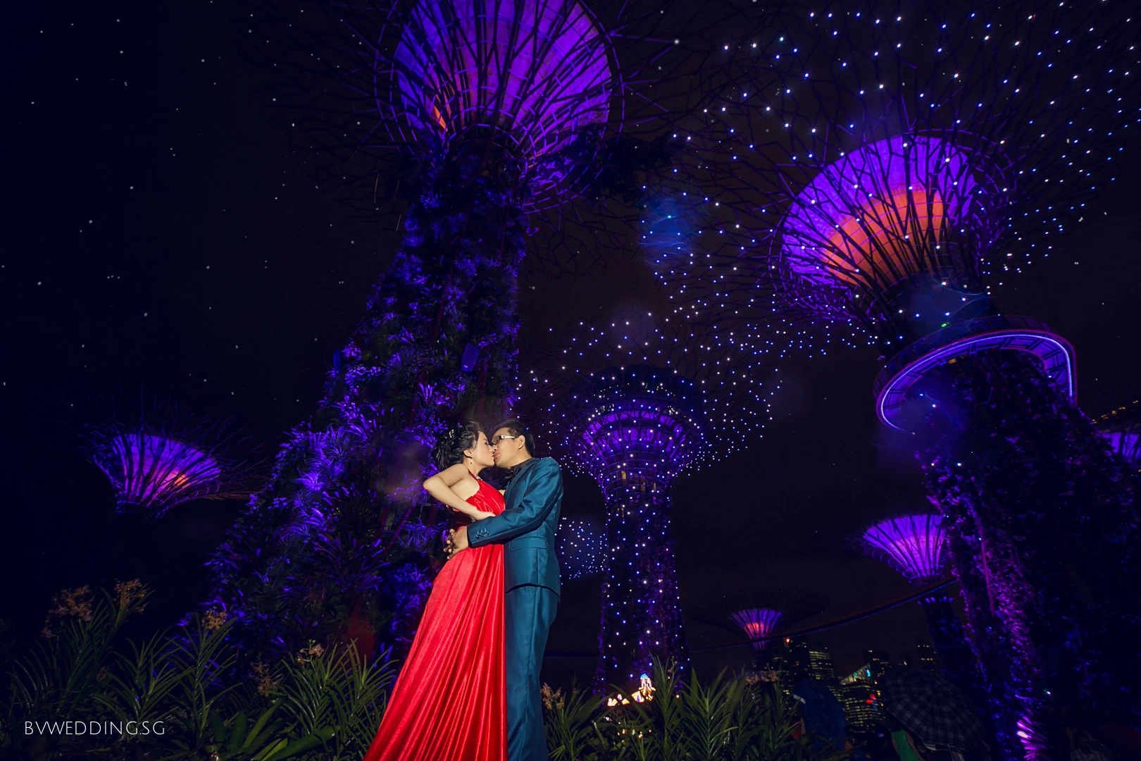 pre-wedding Photoshoot at Gardens By the Bay