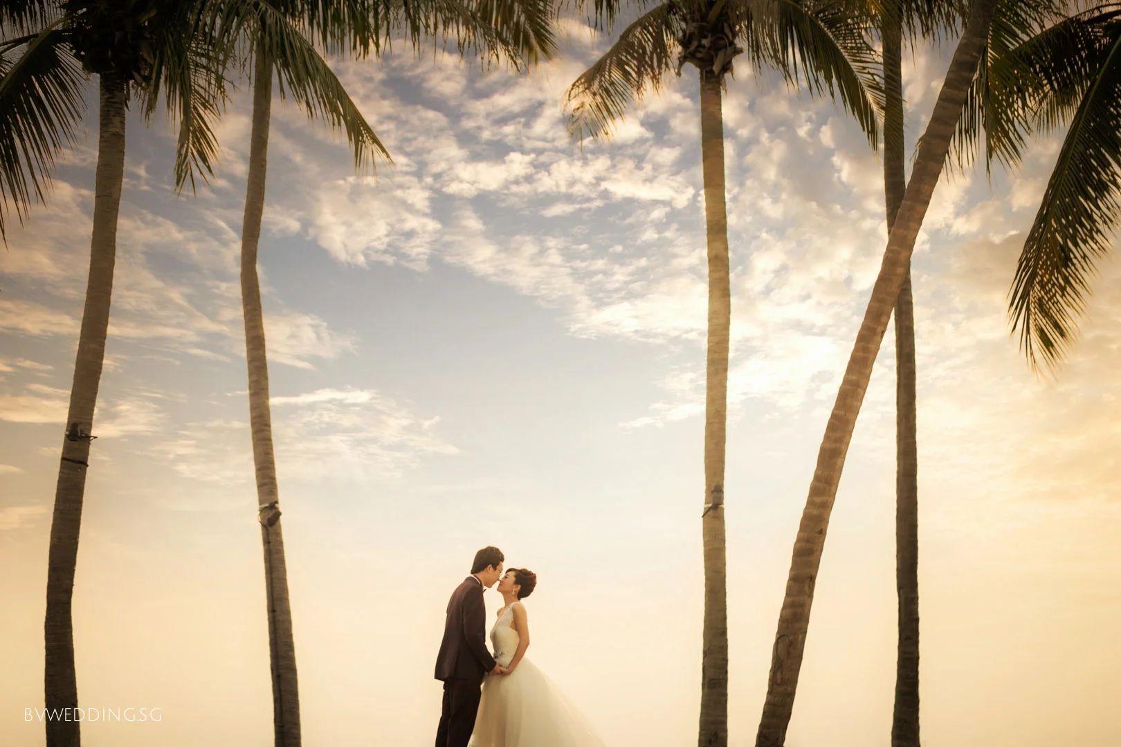 Pre-wedding Photoshoot at Sentosa