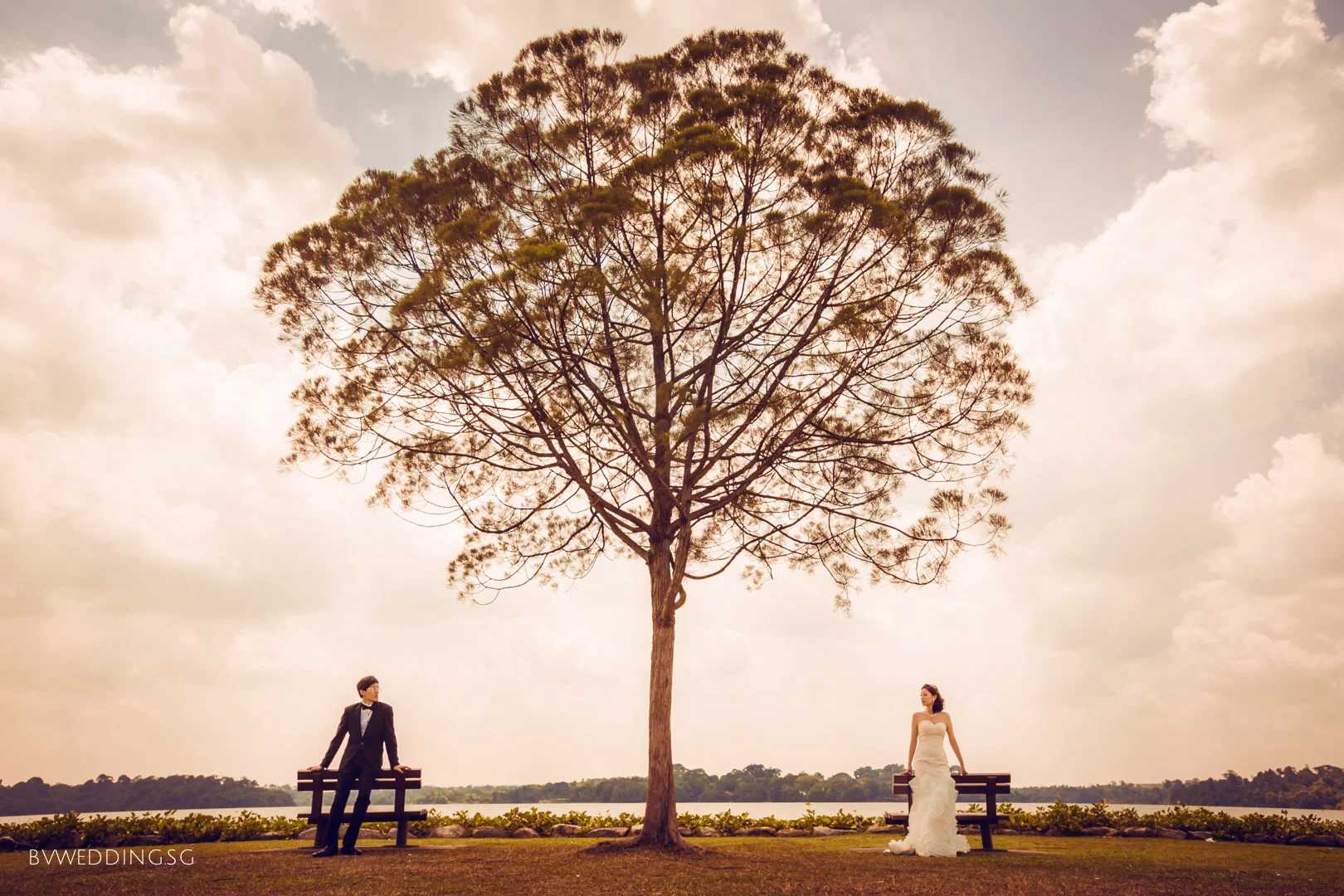 Pre-wedding Photoshoot at upper Seletar
