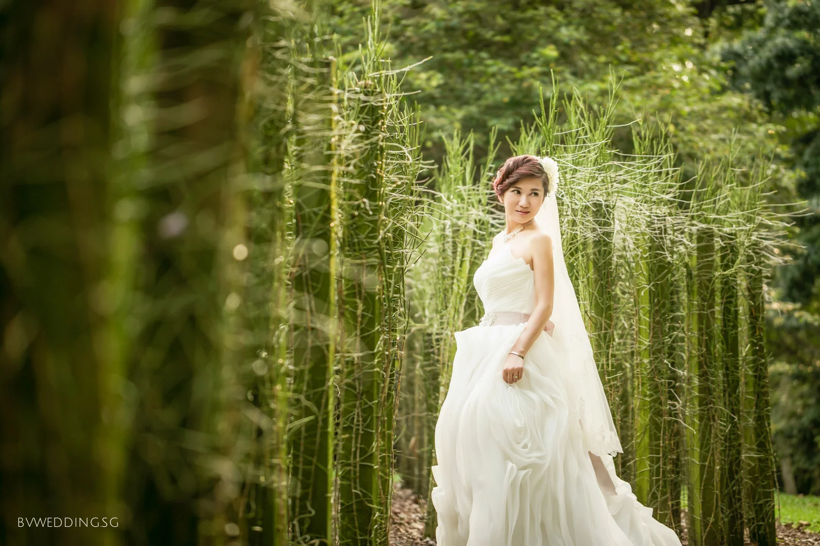 Pre-wedding Photoshoot at Botanic Gardens