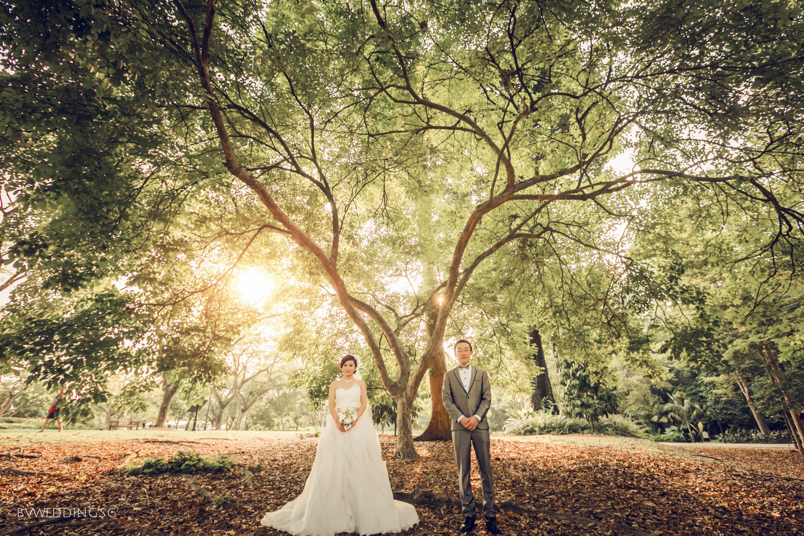 Pre-wedding Photoshoot at Botanic GardensPre-wedding Photoshoot at Botanic Gardens