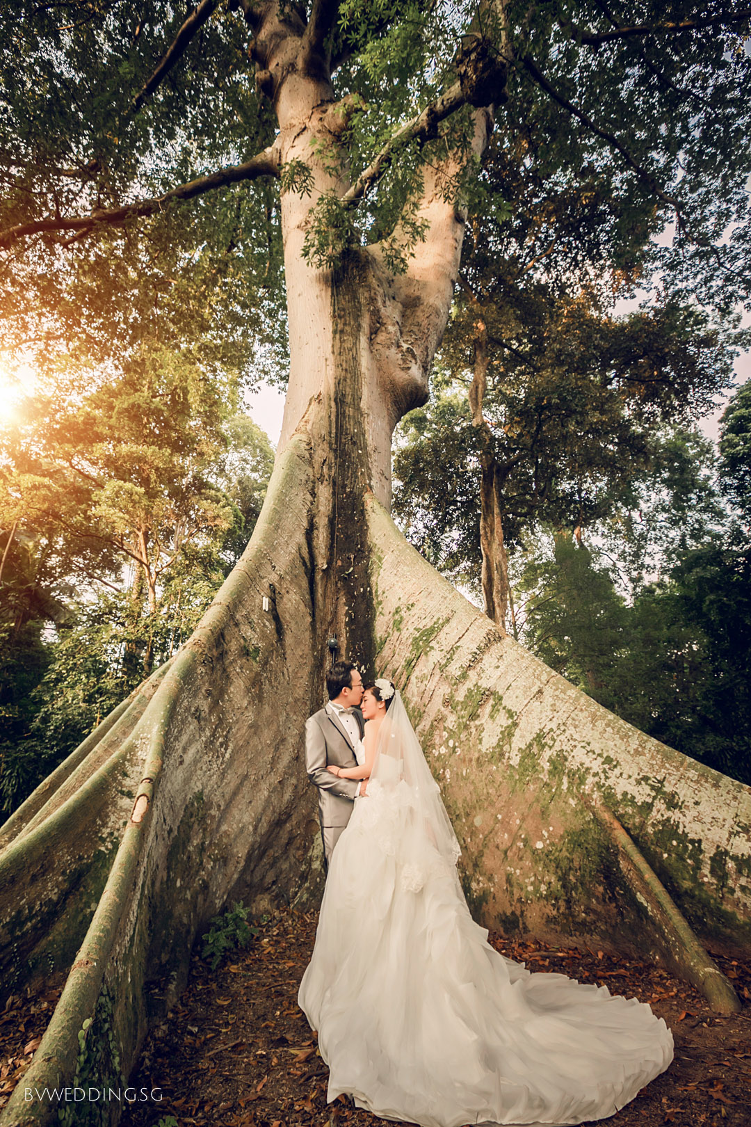 Pre-wedding Photoshoot at Botanic GardensPre-wedding Photoshoot at Botanic Gardens
