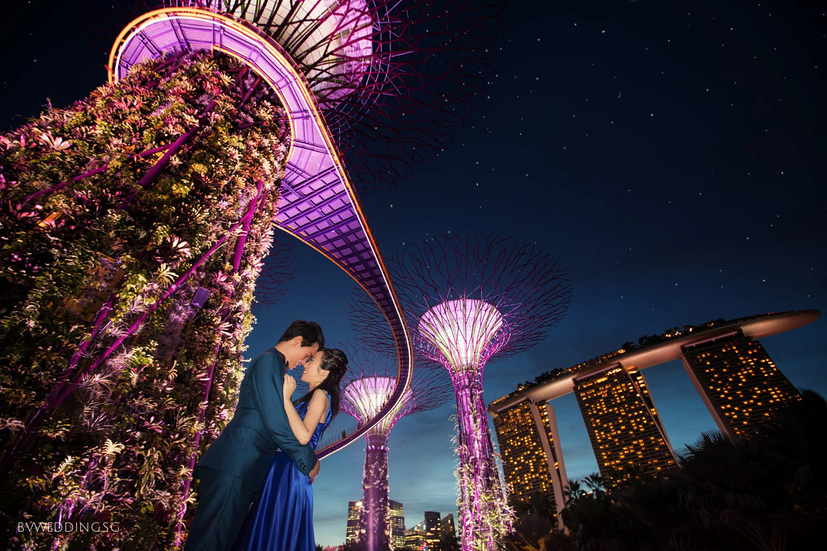 Pre-wedding Photoshoot at gardens by the Bay