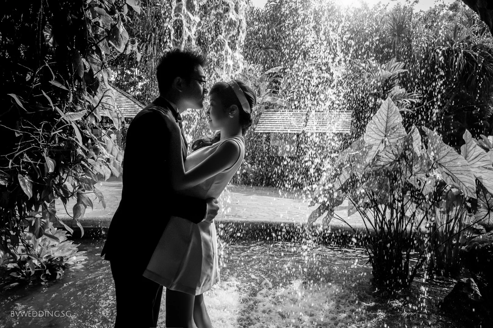 Pre-wedding Photoshoot at Botanic Gardens