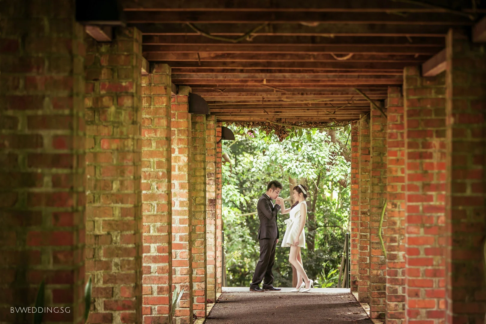 Pre-wedding Photoshoot at Botanic Gardens