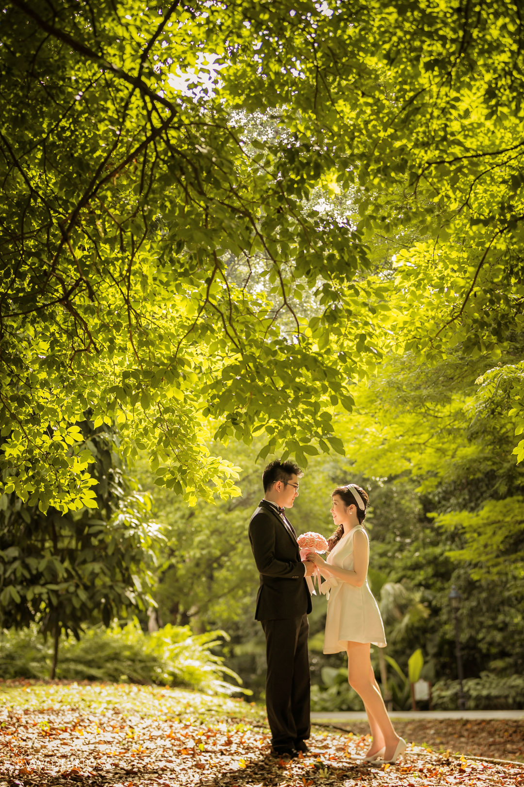 Pre-wedding Photoshoot at Botanic Gardens