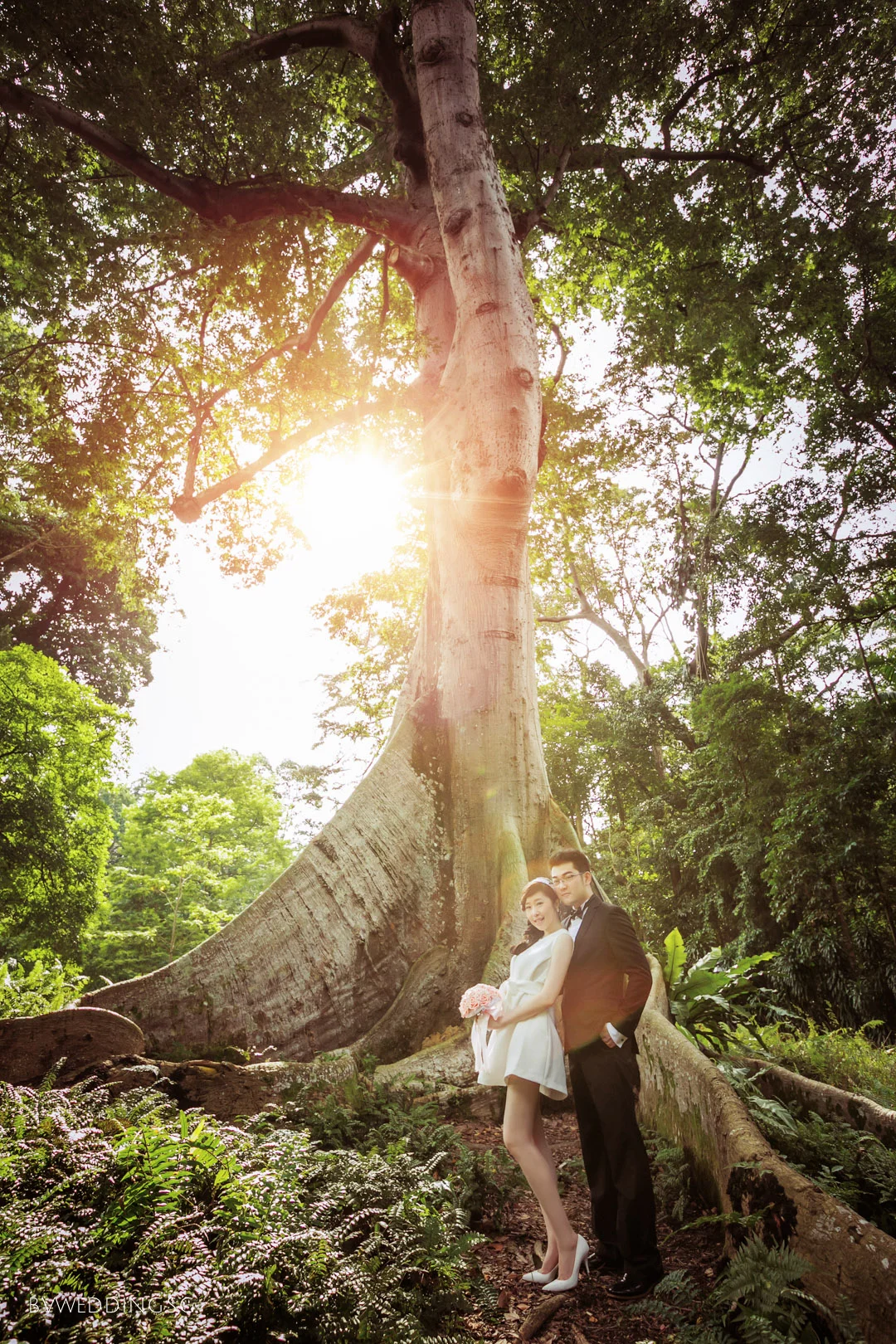 Pre-wedding Photoshoot at Botanic Gardens