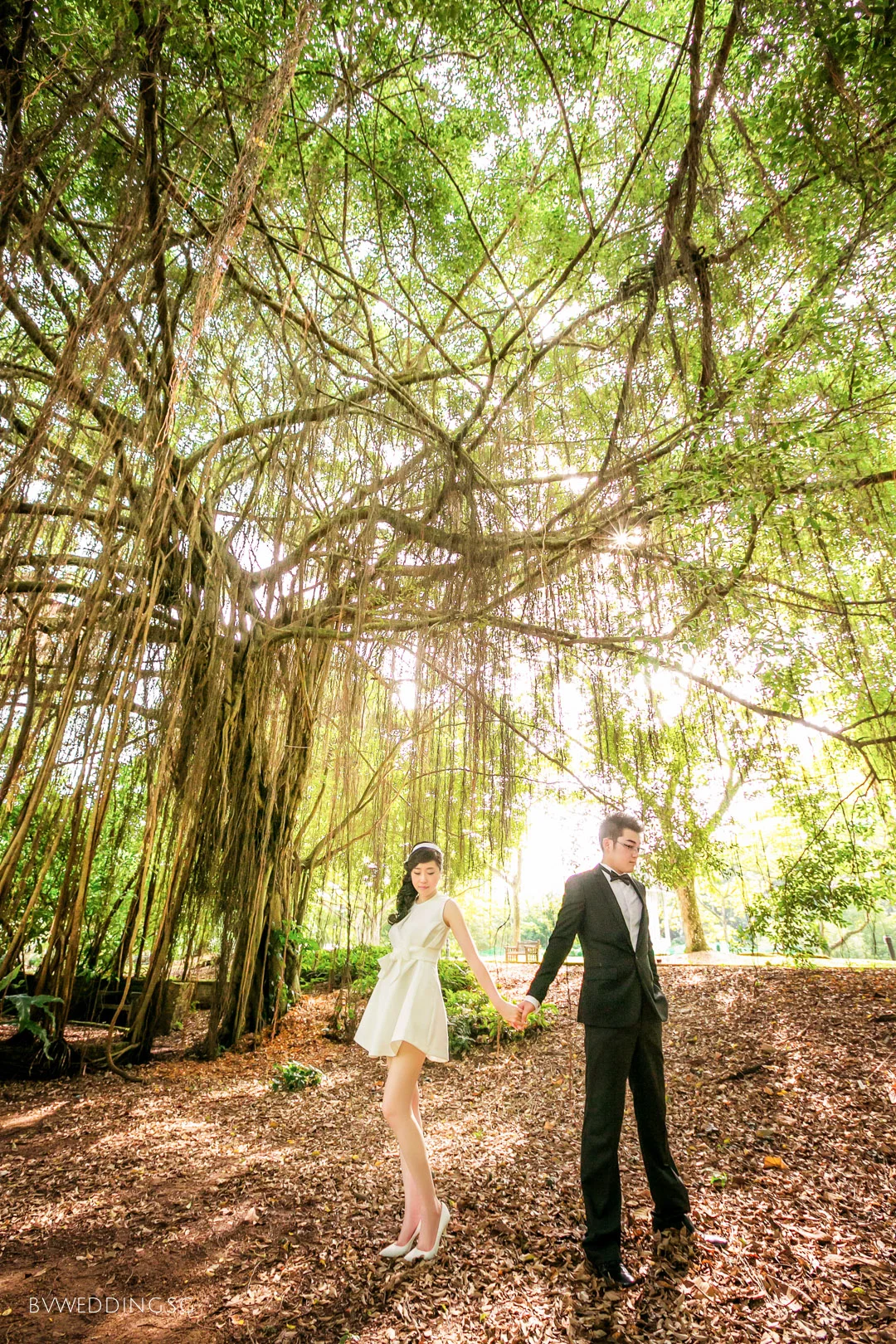Pre-wedding Photoshoot at Botanic Gardens