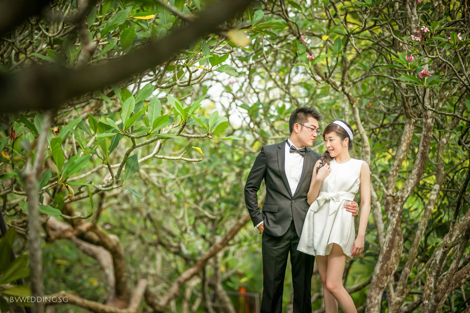 Pre-wedding Photoshoot at Botanic Gardens