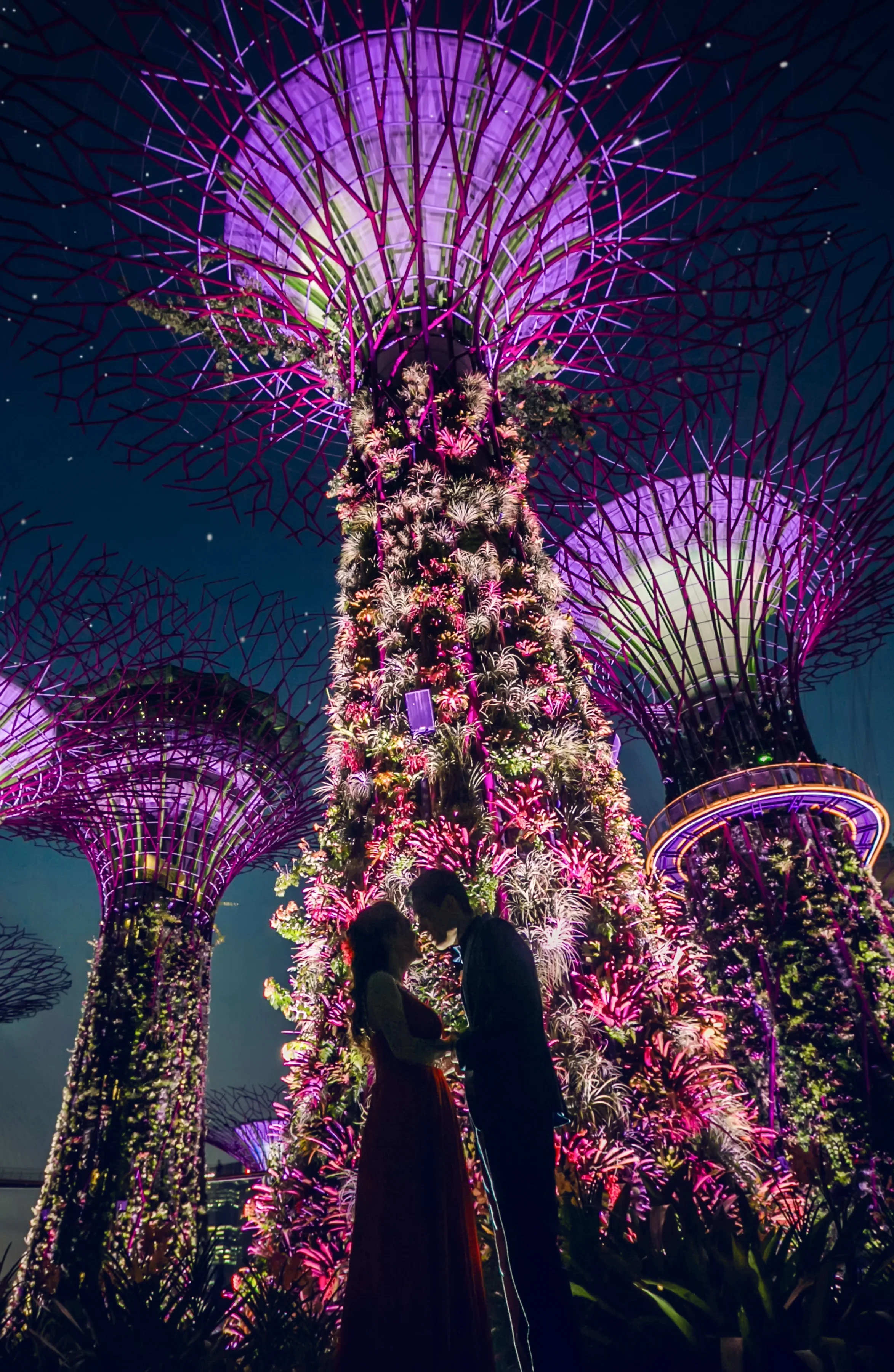 008-Garden-by-the-bay-cropped.jpg