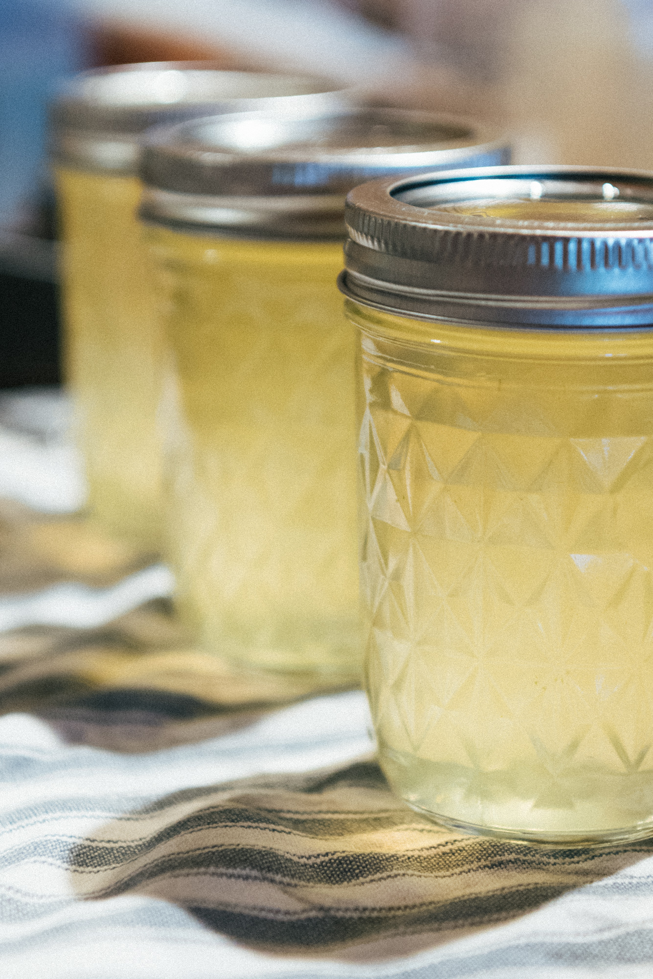 Canned Jelly