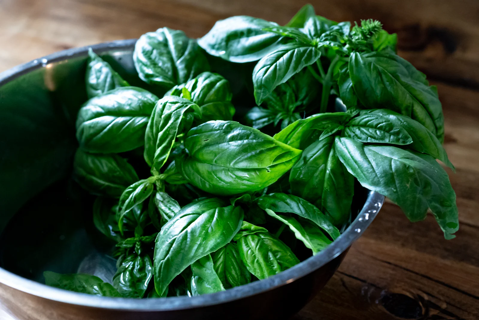Fresh Basil Pesto