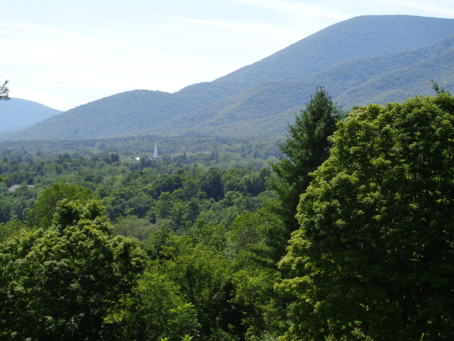 Murray Hill Condominiums