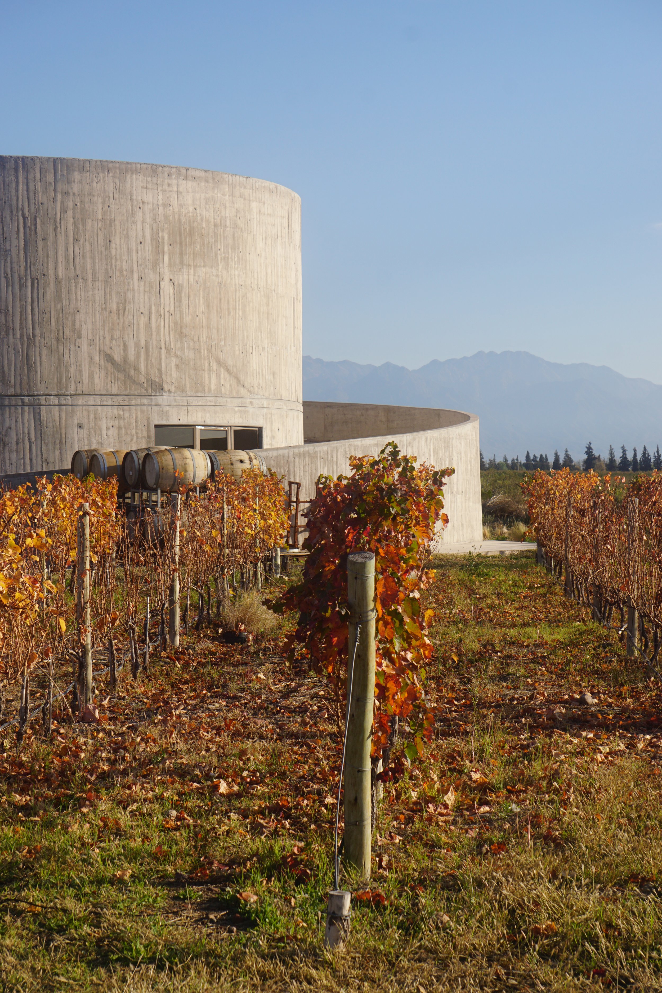 AAL-VIGNES-EXTERIOR (127).JPG