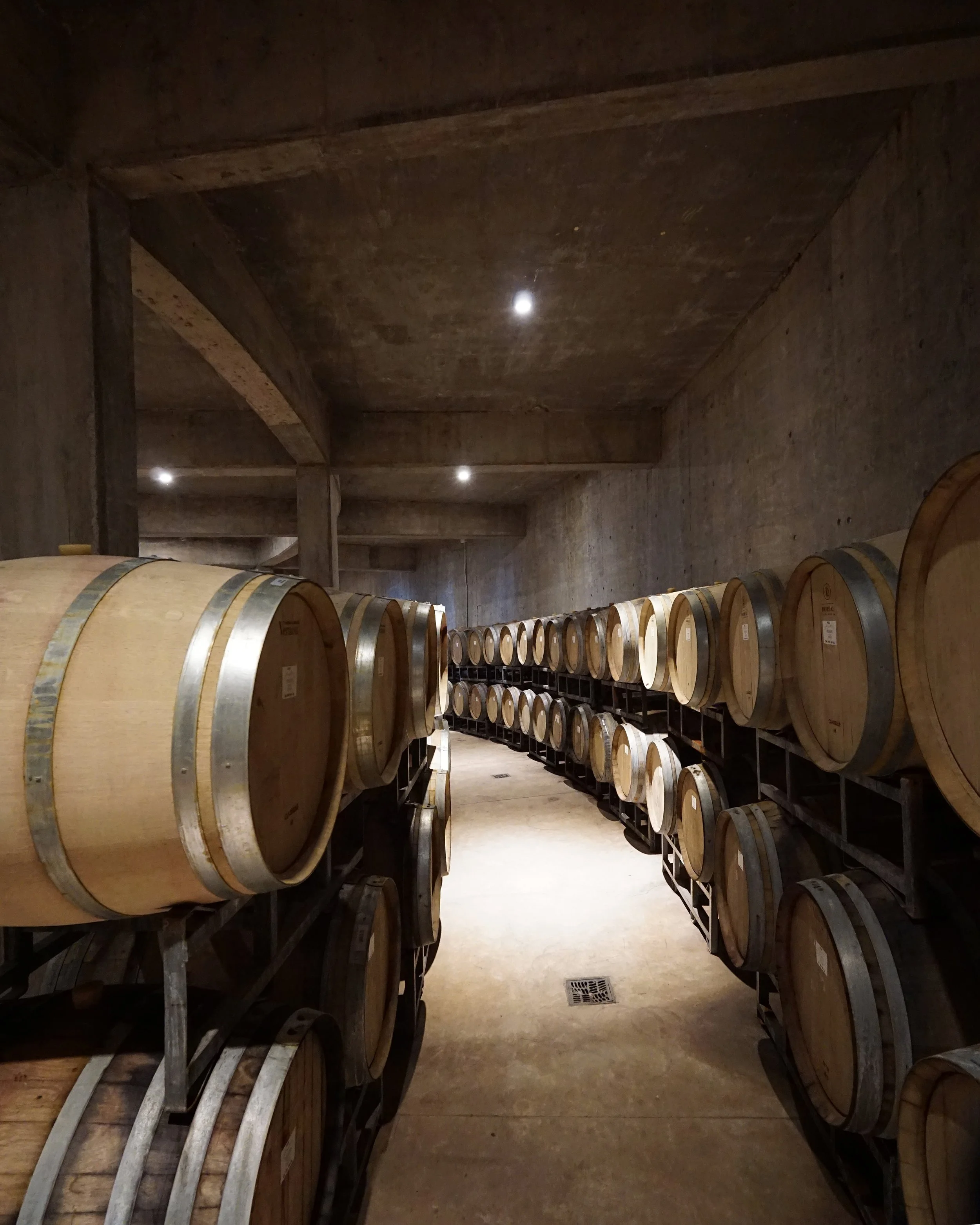 AAL-VIGNES-INTERIOR (117).jpg