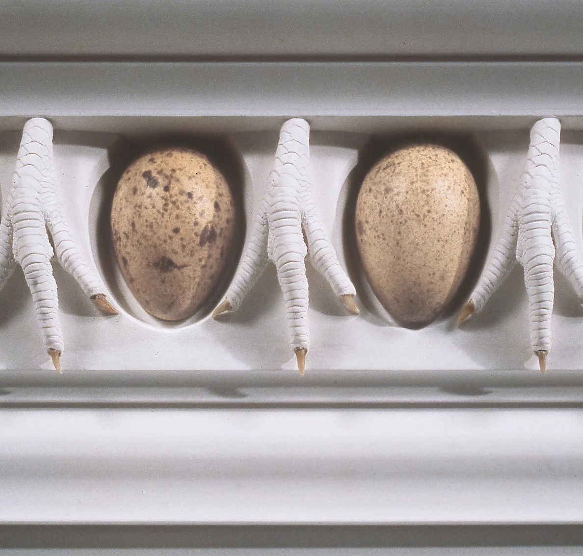 Spring Hurlbut Ovo and Claw Entablature (Segment) 1990 plaster, turkey eggs, chicken claws 12 x 18 in.